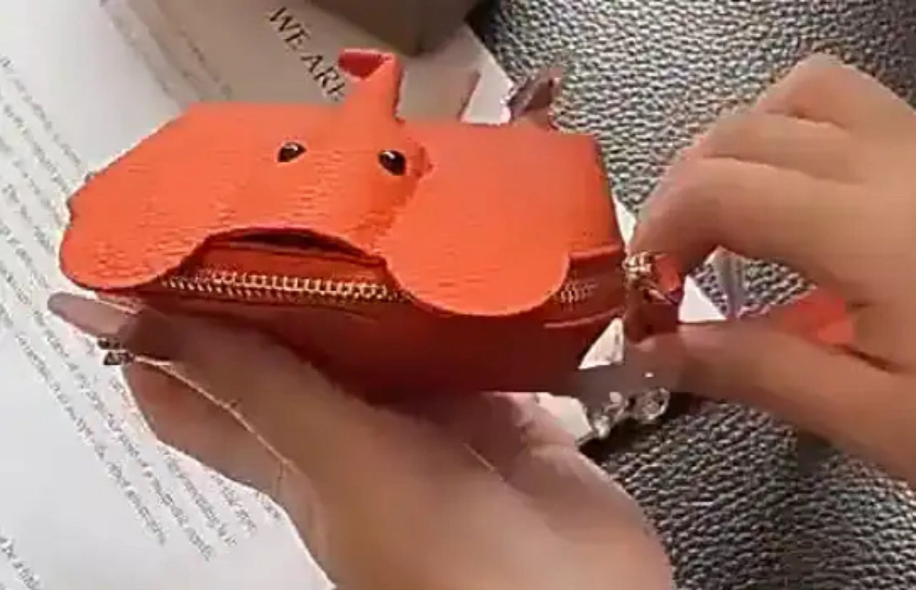 Red Elephant Coin Purse