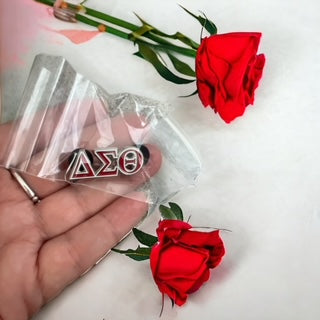 DST lapel pin