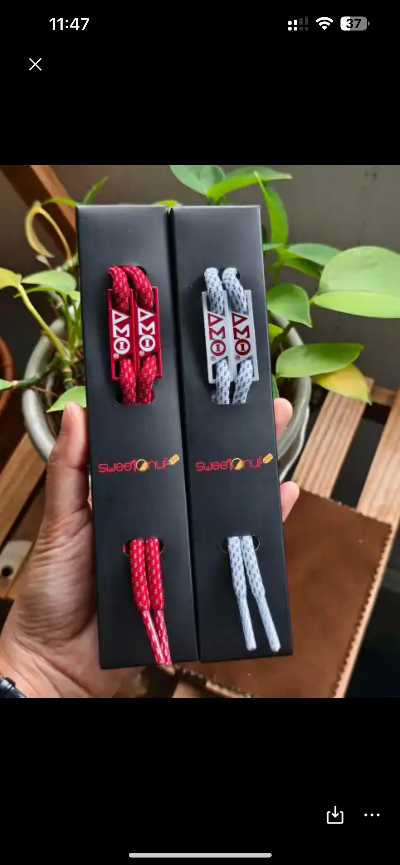 DST Shoelaces and Shoe Charms